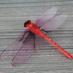4 PCS/Set Simulation Dragonfly Magnetic Refrigerator Stickers Home Wall Garden Decoration, 4 PCS/Set Magnetic, 4 PCS/Set Pin