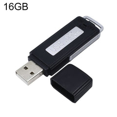 Collection image for: U-Disk-Recorder