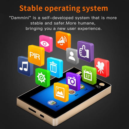 Danmini Q10 4.3 Inch Screen Motion Detection Camera Video Alarm Smart Digital Door Viewer, Support TF Card, Q10 Black