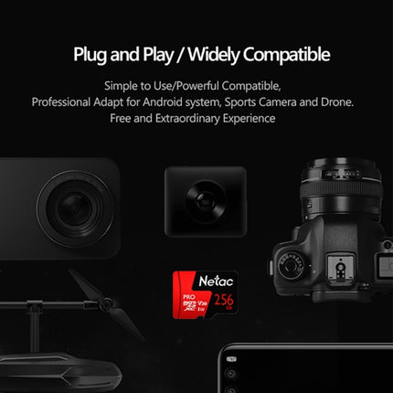 Netac P500 PRO 256GB U3 Speed Level Automobile Data Recorder Monitor Camera Memory Card TF Card