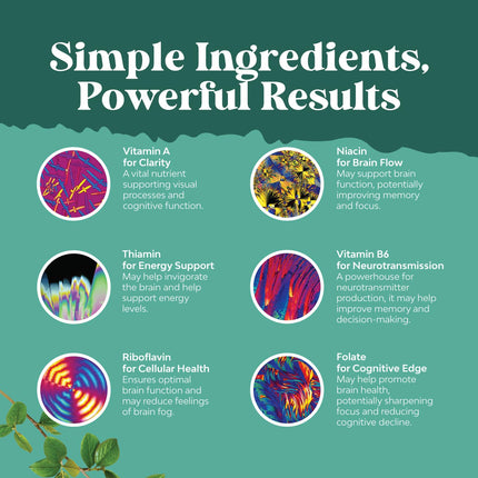 Advanced Brain Supplement for Memory and Focus | Nootropics for Adults