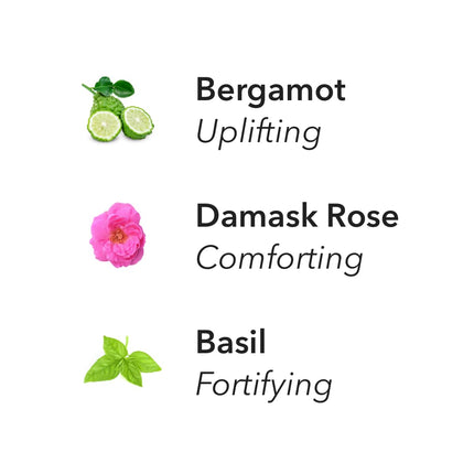 Aera Optimism Aromatherapy Essential Oil Refill – Bergamot, Damask Rose & Basil | Works with The Aera Diffuser