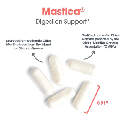 Allergy Research Group Mastica - Mastic Gum Capsules for Digestive Health - 240 Count