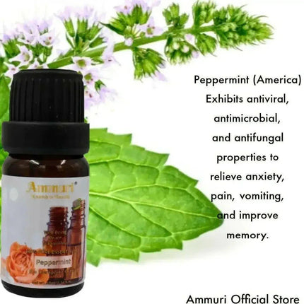 Essential Oils Gift Set for Aromatherapy & Relaxation | Ammuri