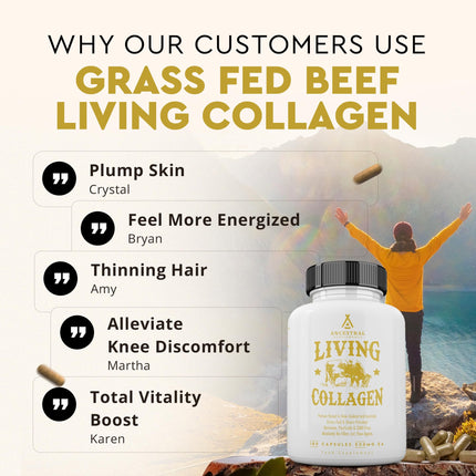 Ancestral Supplements Grass-Fed Beef Living Collagen – 3000mg, 180 Capsules, Type II