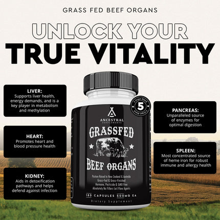Ancestral Supplements Grass-Fed Beef Organs – Liver, Heart, Kidney, Pancreas, Spleen | 180 Capsules