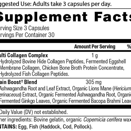 Ancient Nutrition Collagen Brain Boost Capsules – Joint Comfort, Skin & Nails, 90 Count