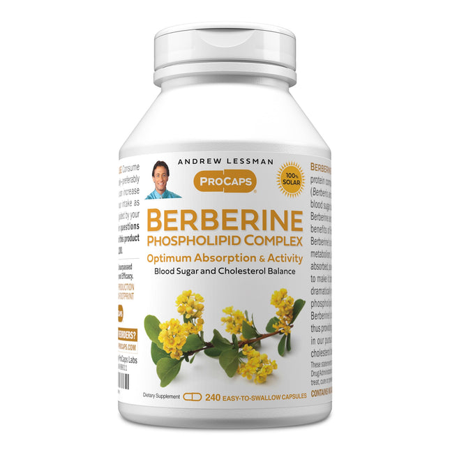 ANDREW LESSMAN Berberine Phospholipid Complex 240 Capsules – Barberry Root Extract | Easy to Swallow