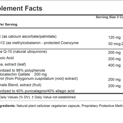 ANDREW LESSMAN Andrew's Five Favorites 60 Capsules – CoQ-10, ALA, EGCG, Resveratrol & Pomegranate