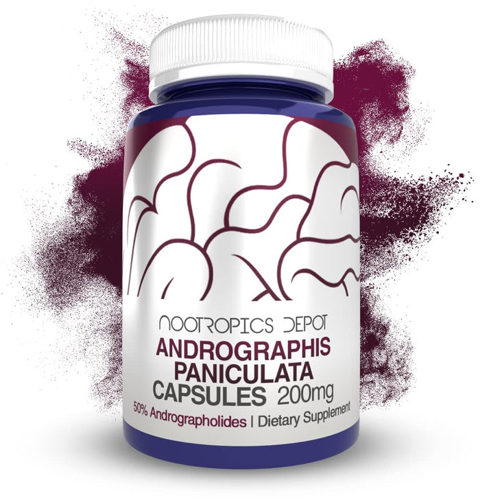 Andrographis Paniculata Capsules 200mg | 60 Count | Supports Immune & Cellular Function