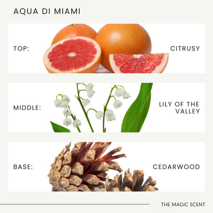 The Magic Scent Aqua di Miami Diffuser Oil – Hotel & Home Luxury Scents (8.5 fl oz / 250 mL)