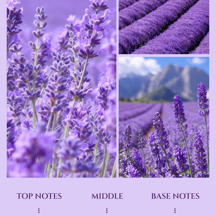 Aromadd Lavender Diffuser Oil — Hotel-Inspired Lavender for Waterless Diffusers, 3.38 fl oz