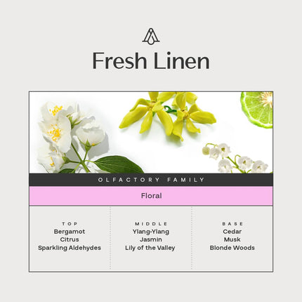 AromaPlan Fresh Linen 150ml – Luxury Hotel & Home Scent for Diffusers | USA Made, Bigger Bottle