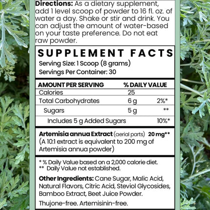 Artemisia Annua Sweet Wormwood Herbal Powder | 30 Servings | Non-GMO, Vegan