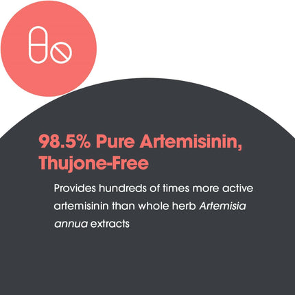 Allergy Research Group Artemisinin Supplement – GI Tract Support, 300 Count