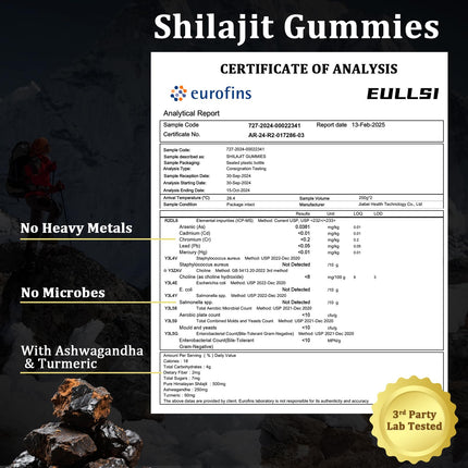 Eullsi Pure Himalayan Shilajit Gummies + Ashwagandha for Energy, Stamina & Immune Support | Vegan Non-GMO, 180 Count