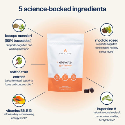 Avantera Elevate Gummies – Premium Nootropic for Focus, Memory & Energy