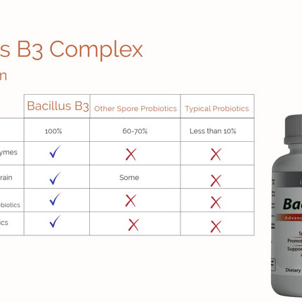 New Bacillus B3 Probiotic Complex & Enzymes – 60 Capsules (100% Spore-Based SBO)