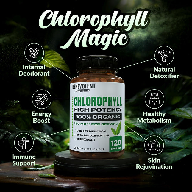 Benevolent Chlorophyll Capsules 350mg – 120 Caps | Natural, 20x Potency