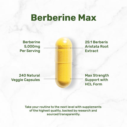 Berberine Max with Turmeric – 5,000mg per Serving | 97% Berberine HCl