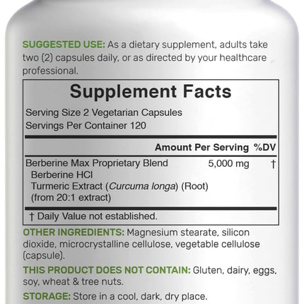 Berberine Max with Turmeric – 5,000mg per Serving | 97% Berberine HCl