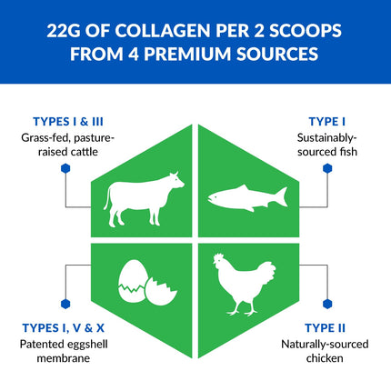 BioTrust Ageless Multi Collagen Powder – 5 Types: I II III V X | Unflavored Collagen Powder