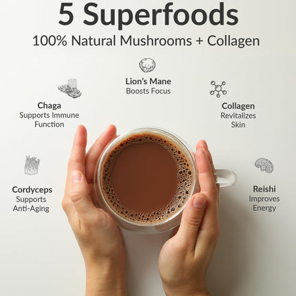 BIOptimizers Mushroom Coffee Alternative – Chocolate with Lion’s Mane, Chaga & Reishi + Collagen Peptides for Focus, Energy & Gut Health – Adaptogenic Mushrooms & MCT Powder – 30 Servings