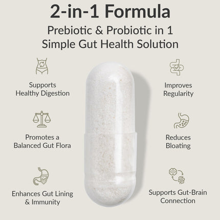 BIOptimizers Probiotic Breakthrough – Lactobacillus Plantarum OM Probiotics & Prebiotics for Gut, Digestive & Immune Support | 60 Vegan Capsules