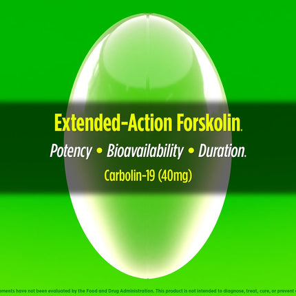 Biotest Carbolin 19 – Long-Lasting Forskolin for Fat Metabolism & Performance, 60 Softgels