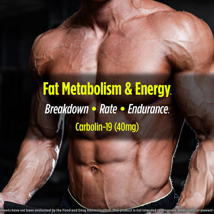 Biotest Carbolin 19 – Long-Lasting Forskolin for Fat Metabolism & Performance, 60 Softgels
