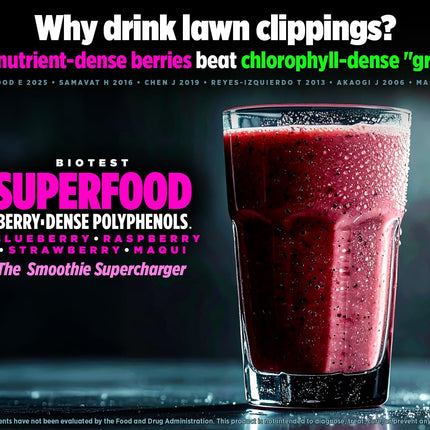 Biotest Superfood Berry-Dense Polyphenols – Blueberry, Raspberry, Strawberry & Maqui (30 Servings)