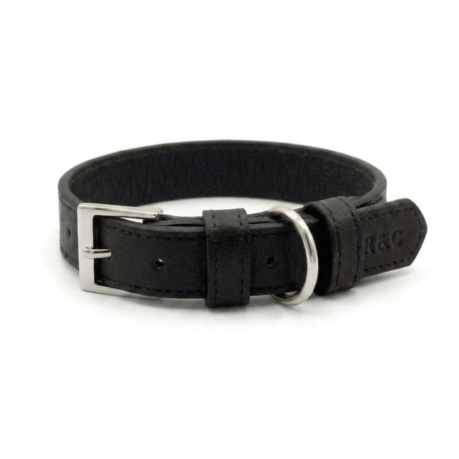 Black Lignify Dog Collar