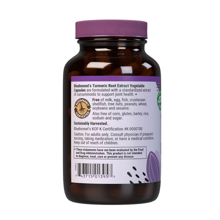 BlueBonnet Turmeric Root Extract Supplement, 120 Count – 380 mg Curcuminoids per Serving, Vegan & Non-GMO