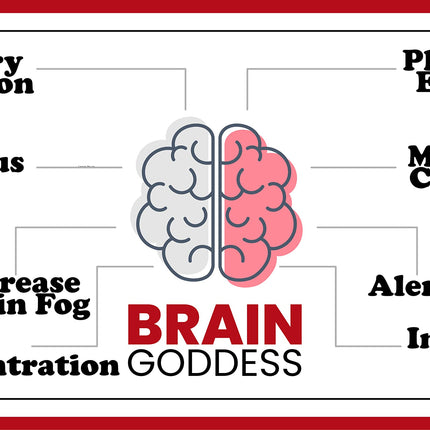 Warped Wellness Brain Goddess – Female Brain & Memory Support Supplement