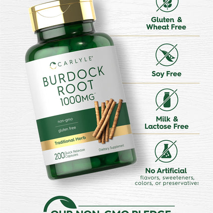 Carlyle Burdock Root 1000 mg – 200 Capsules | Non-GMO & Gluten Free