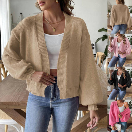 Women's Lantern Sleeve Simple Casual Short Sweater