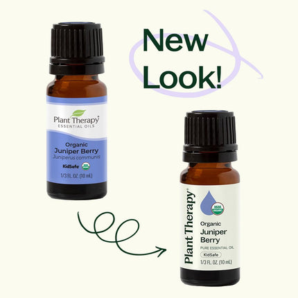 Plant Therapy Organic Juniper Berry Essential Oil 10 mL | 100% Pure & Therapeutic Grade