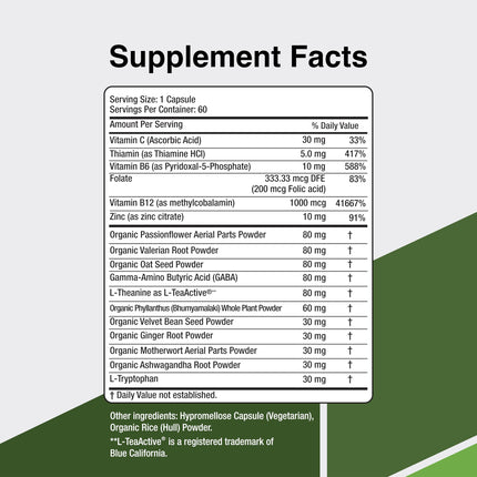CalmSupport: Stress & Relaxation Support - Ashwagandha, Passion Flower, Valerian Root, Ginger, GABA, Velvet Bean, Motherwort, Oat Seed, Phyllanthus, L-Theanine, L-Tryptophan, Folate, C,B1,B6,B12,Zinc