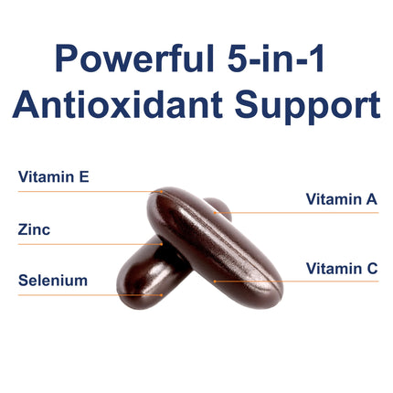 Carlson ACES + Zn Multivitamin with Zinc – Immune Support, Antioxidants, 360 Softgels