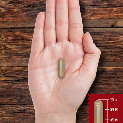 Carlyle Grass Fed Beef Organ Complex - 200 Capsules | Pasture Raised, Non-GMO | Herbage Farmstead