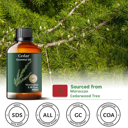 Cedarwood Essential Oil for Bedtime & Pillow Mist – Relaxation & Aromatherapy (3.38 Fl Oz)