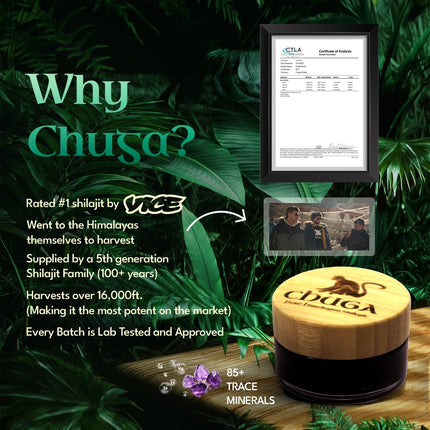 Chuga Shilajit Authentic Himalayan Shilajit Resin – Grade A, 150 Servings per 35g Jar (Pack of 12)