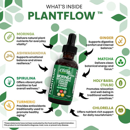 Clean Nutra Moringa Supplement Drops Ashwagandha Spirulina Chlorella Turmeric & Ginger Liquid Barley Grass with Chlorophyll Blue Green Algae Vitamin C Antioxidant Holy Basil Ceylon Cinnamon PlantFlow