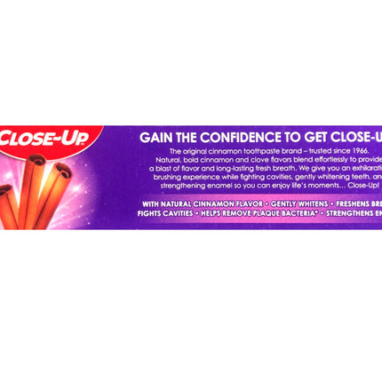 Close-Up Cinnamon Anticavity Fluoride Toothpaste 6 Ounce Pack of 2