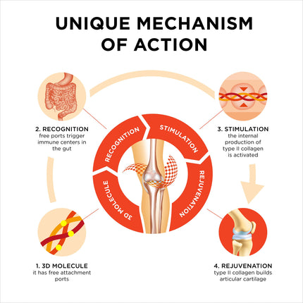 Collanol – Dual-Action Joint Support with 3D Collagen + Micelle Turmeric