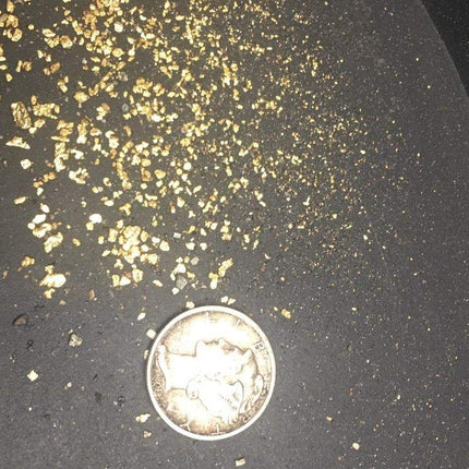 Gold Paydirt 10 LB from Colorado - Special Reserve Blend 2021 - Gold Paydirt Bags - Guaranteed Unsearched Material - Pan At Home - Guaranteed Gold