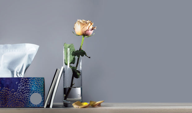 <h3><strong>Household Appliances</strong></h3>