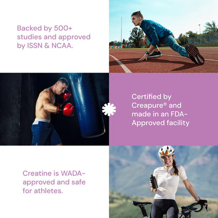 Create Single-Serve Creatine Monohydrate Powder – 5g Creapure Creatine, Sugar-Free, Vegan | Mixed Berry | 30 Portable Packets