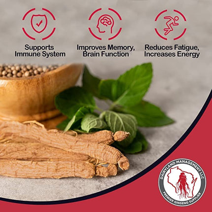 Red Panax Ginseng Powder (8 oz) – 10% Ginsenosides, Energy & Mood | Dairyland