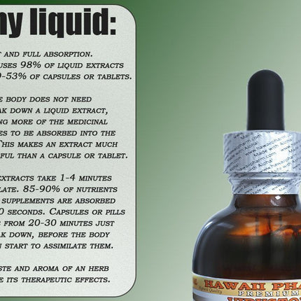 Dandelion Alcohol-Free Liquid Extract – Organic Taraxacum Officinale Glycerite, 2 oz | Hawaii Pharm